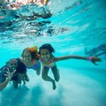 Swimming pool at Great Wolf Lodge Cincinnati/Mason