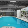 Pool image of Hilton Chicago / Oak Lawn