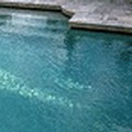 Pool image of Holiday Inn Auburn-Finger Lakes Region by IHG
