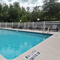Pool image of Holiday Inn Express Suites Plant City An Ihg Hotel