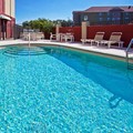 Swimming pool at Holiday Inn Express & Suites Tampa Northwest Oldsmar by IHG
