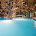 Photo of Holiday Inn Hotel & Suites Madison West Middleton by IHG Pool