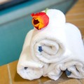 Pool image of Holiday Inn Hotel & Suites Mississauga by IHG