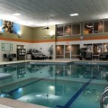 Photo of Holiday Inn & Suites Chicago Carol Stream (Wheaton) An Ihg Hotel Pool