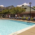 Pool image of Homewood Suites by Hilton Columbia