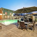 Pool image of Homewood Suites by Hilton Pleasant Hill Ca