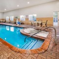 Pool image of La Quinta Inn & Suites by Wyndham Alamo Mcallen East