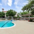 Pool image of La Quinta Inn & Suites by Wyndham Houston Bush Iah South