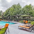 Swimming pool at La Quinta Inn & Suites by Wyndham Tomball