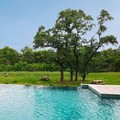 Swimming pool at Residence Inn by Marriott Austin Southwest