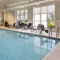 Swimming pool at Sheraton Jacksonville Hotel
