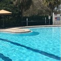Photo of Sheraton Tampa Brandon Hotel Pool