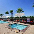 Pool image of University Plaza Waterfront Hotel