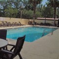 Pool image of Wyndham Garden Jacksonville