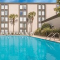 Pool image of Wyndham Garden Summerville