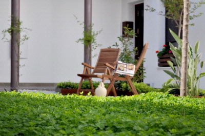 Photo of PATIO