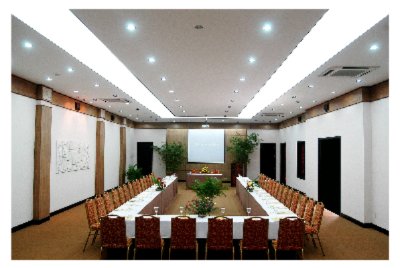 Photo of Swannery Conference room
