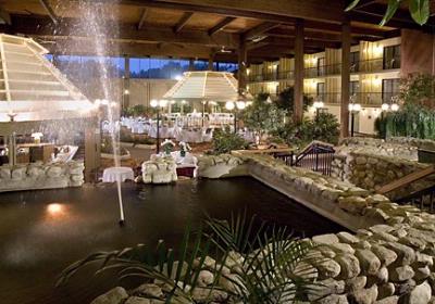 Photo of Indoor Garden Courtyard