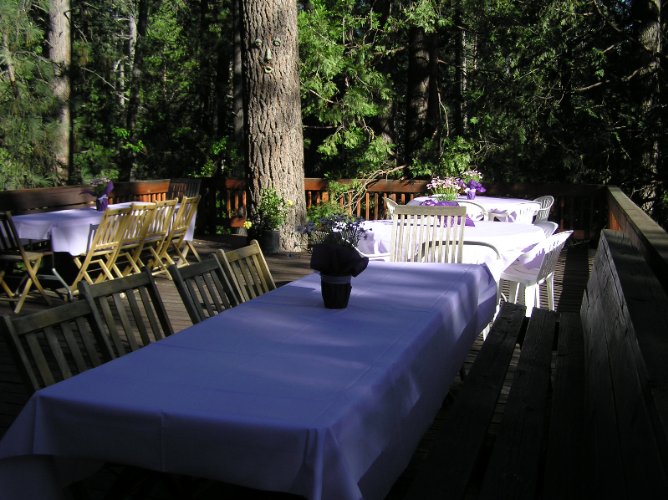 Photo of Elevated Deck in the Pines