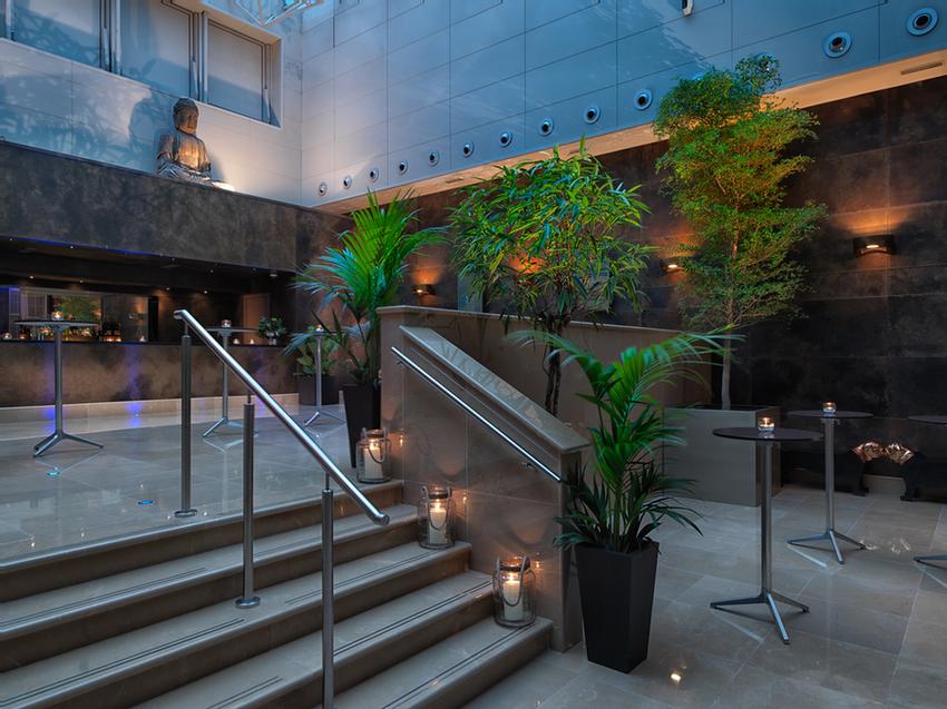Photo of Atrium