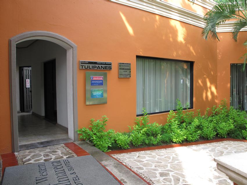 Photo of TULIPANES