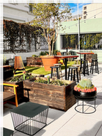 Photo of Terrace