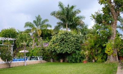 Photo of Garden