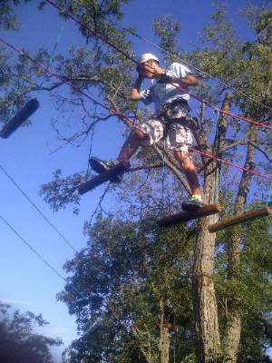 Photo of Forest adventure park