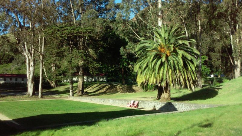 Photo of Kober Lawn