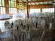 Copper Tree Restaurant and Banquet Hall Meeting Space Thumbnail 3