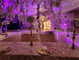 Parakeets Ballroom Meeting Space Thumbnail 3
