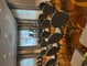 Oak Lawn Meeting Space Thumbnail 2