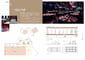 Vista hall Meeting Space Thumbnail 3
