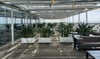 The Breeze Terrace Meeting Space Thumbnail 1