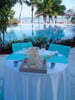 Pool Area Meeting Space Thumbnail 1