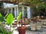 Frangipani Villa-Boutique Hotel 1 of 20