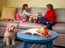 Pet Friendly 1 of 4